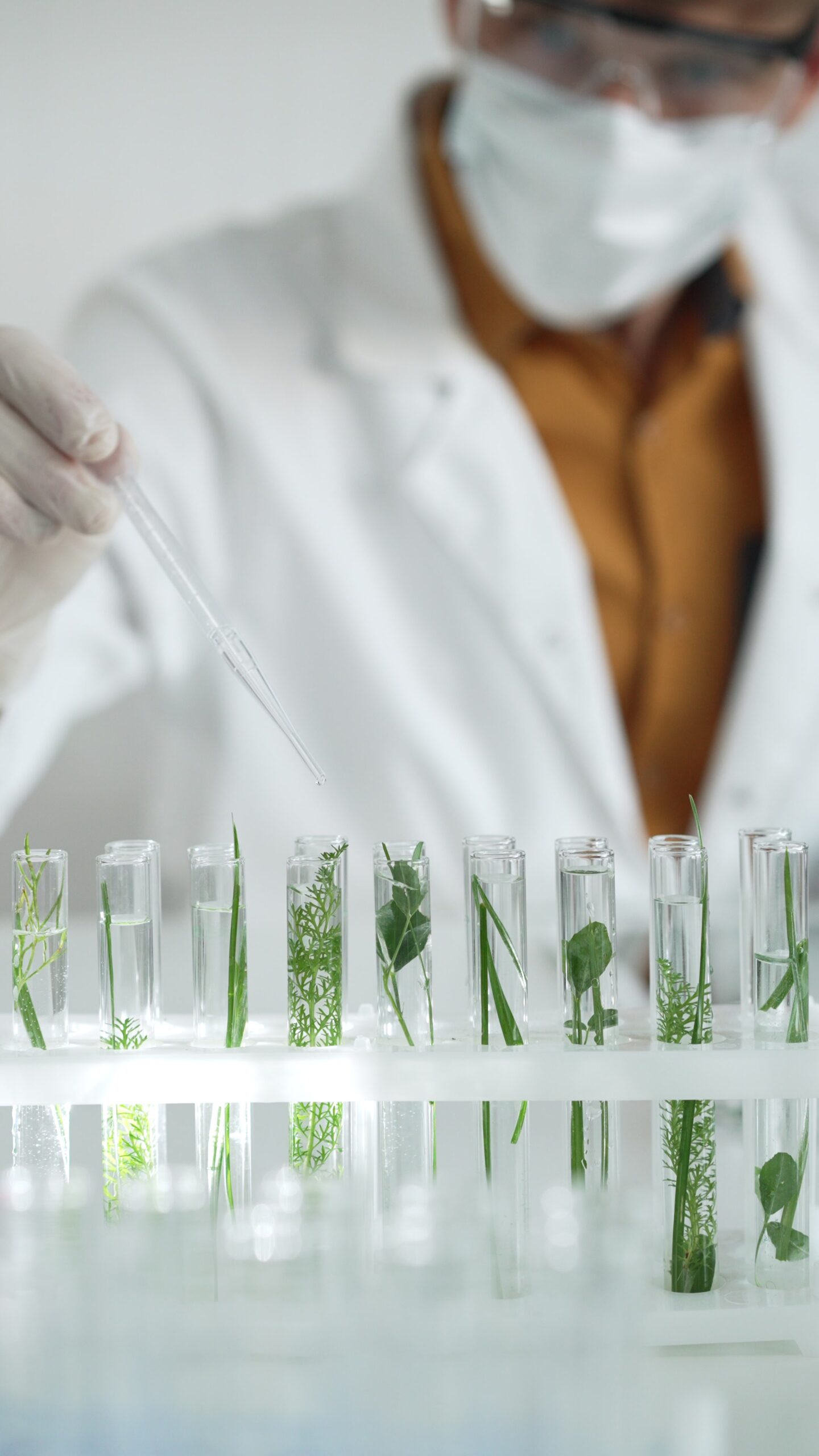 Investigacion suplemento alimenticio